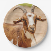 Braune und weiße Ziege Pappteller (Vorderseite)