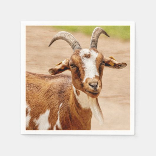 Braune und weiße Ziege Serviette (Vorderseite)