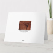 Braune Wildleder mit Gurte und Verschluss Karte (Rückseite)