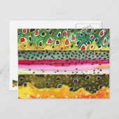 Braunen, Regenbogen und Bachforellen Fischerei Postkarte (Vorne/Hinten)