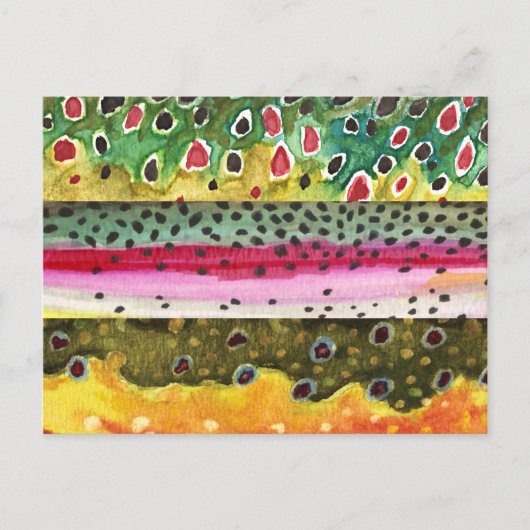 Braunen, Regenbogen und Bachforellen Fischerei Postkarte (Vorderseite)