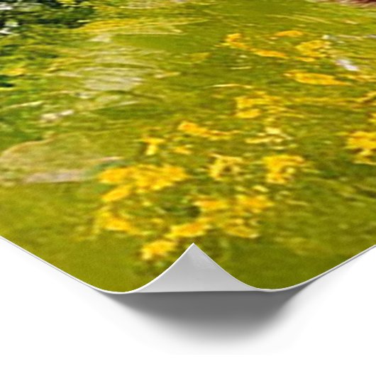 Brauner Bär auf einer Wiese Poster (Ecke)