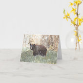 Brauner Bär - Blankenkarte Karte (Gelbe Blume)
