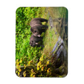 Brauner Bär & Cub | Hyder, Alaska Magnet (Vertikal)