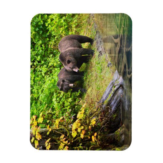 Brauner Bär & Cub | Hyder, Alaska Magnet (Vertikal)