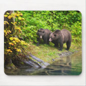 Brauner Bär & Cub | Hyder, Alaska Mousepad (Vorne)