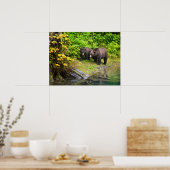 Brauner Bär & Cub | Hyder, Alaska Poster (Küche)