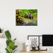 Brauner Bär & Cub | Hyder, Alaska Poster (Heimbüro)