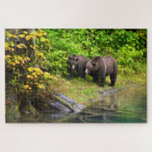 Brauner Bär & Cub | Hyder, Alaska Puzzle (Horizontal)