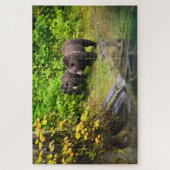 Brauner Bär & Cub | Hyder, Alaska Puzzle (Vertikal)