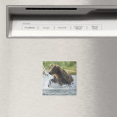 Brauner Bär, der Lachs im Fluss jagt Magnet (In Situ (Geschirrspüler))