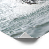 Brauner Bär, der Lachs im Fluss jagt Poster (Ecke)