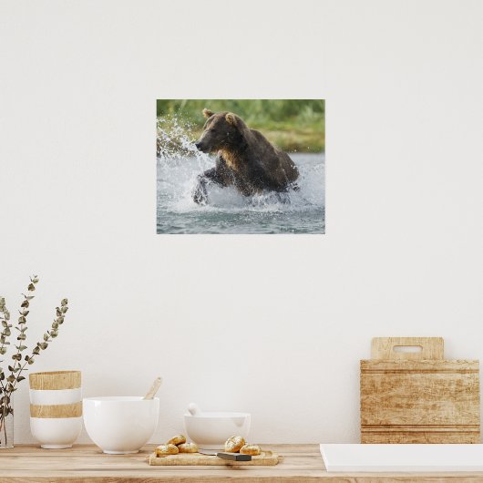 Brauner Bär, der Lachs im Fluss jagt Poster (Küche)