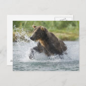Brauner Bär, der Lachs im Fluss jagt Postkarte (Vorne/Hinten)
