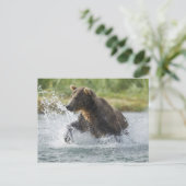 Brauner Bär, der Lachs im Fluss jagt Postkarte (Stehend Vorderseite)