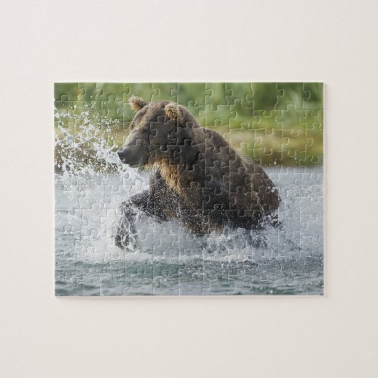 Brauner Bär, der Lachs im Fluss jagt Puzzle (Horizontal)