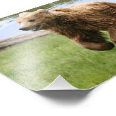 Brauner Bär Fotodruck (Ecke)