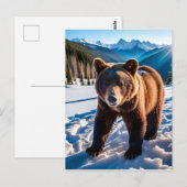Brauner Bär im Schnee Postkarte (Vorne/Hinten)