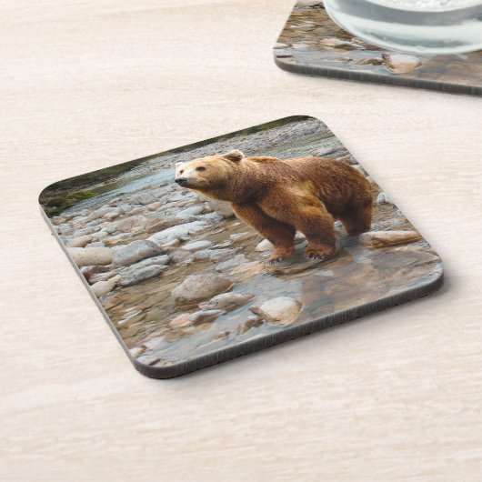 Brauner Bär in Stream Getränkeuntersetzer (Linke Seite)