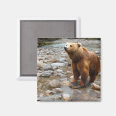 Brauner Bär in Stream Magnet (Vorderseite/Rückseite)