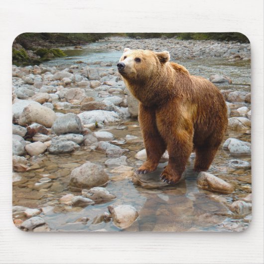 Brauner Bär in Stream Mousepad (Vorne)