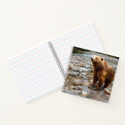 Brauner Bär in Stream Notizblock (Innenseite)