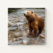Brauner Bär in Stream Notizblock (Rückseite)