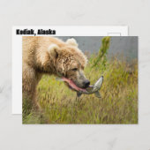 Brauner Bär isst Lachs Postkarte (Vorne/Hinten)