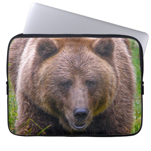 Brauner Bär Laptop-Sieb Laptopschutzhülle (Vorderseite)