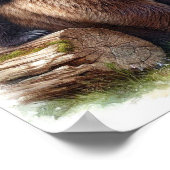 Brauner Bär mit zwei Kubs Poster (Ecke)