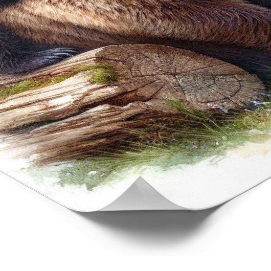 Brauner Bär mit zwei Kubs Poster (Ecke)