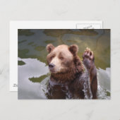 Bräuner Bär Postkarte (Vorne/Hinten)