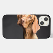 Brauner Beagle-Hund iPhone Hülle (Rückseite (Horizontal))