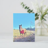 Brauner Blauer Tinkel Rotes Herz Postkarte (Stehend Vorderseite)