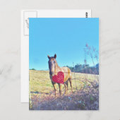 Brauner Blauer Tinkel Rotes Herz Postkarte (Vorne/Hinten)