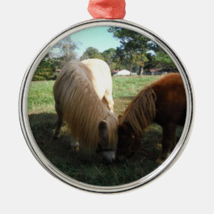 Brauner Blond", Miniaturpferde"Zwei kleine Ponys Ornament Aus Metall