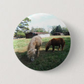 Brauner Blond, zwei Miniaturpferde, "Kleiner Pony" Button (Vorderseite)