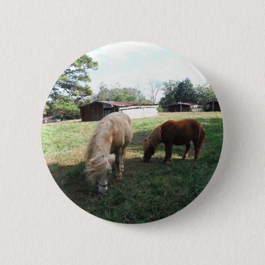 Brauner Blond, zwei Miniaturpferde, "Kleiner Pony" Button (Vorderseite)