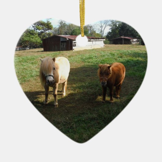 Brauner Blond, zwei Miniaturpferde, "Kleiner Pony" Keramikornament (Vorne)