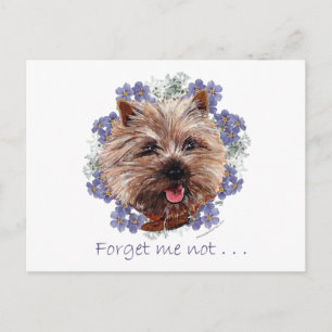 Brauner Cairn Terrier Vergissmeinnicht Postkarte