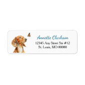 Brauner Dachshund-Hund Schmetterling Wunder (Vorne)