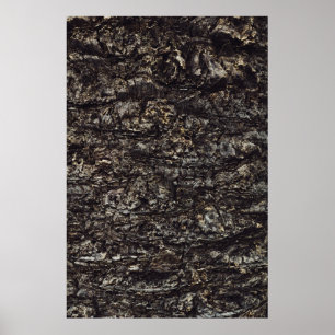 Brauner Felsen Poster