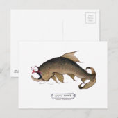 Brauner Forellenfisch, tony fernandes Postkarte (Vorne/Hinten)