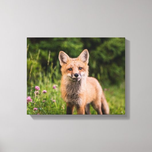 Brauner Fox auf grünem Gras Leinwanddruck (Vorderseite)