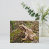 Brauner Frosch nah Postkarte (Stehend Vorderseite)