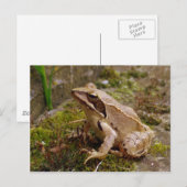 Brauner Frosch nah Postkarte (Vorne/Hinten)