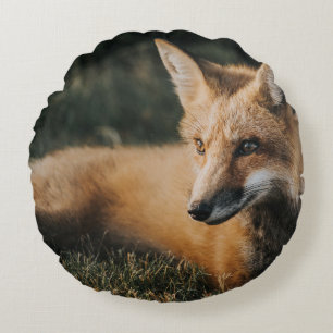 BRAUNER FUCHS AUF DEM BODEN RUNDES KISSEN
