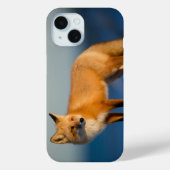 Brauner Fuchs Case-Mate iPhone Hülle (Rückseite)