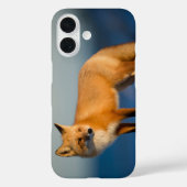 Brauner Fuchs Case-Mate iPhone Hülle (Rückseite)
