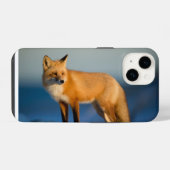 Brauner Fuchs iPhone 14 Hülle (Rückseite (Horizontal))